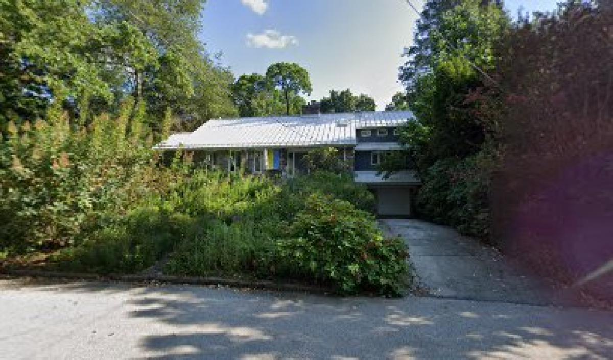 Revolution Bees Honey Stand