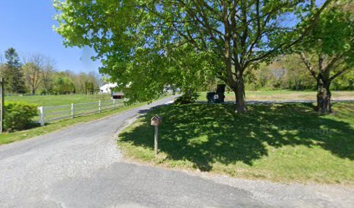 Robin Miller's Honey