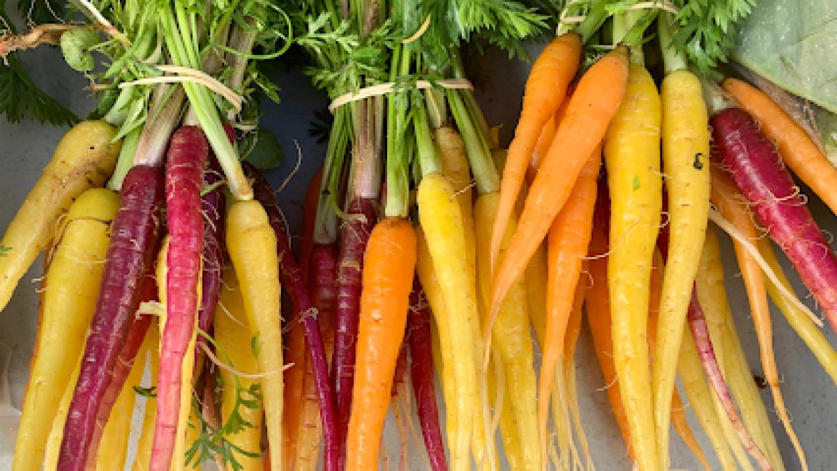 Weaverville Tailgate Market