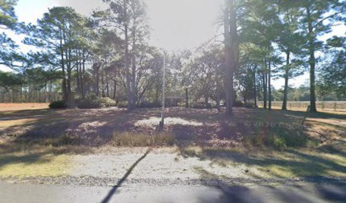 Baldwin Grape Vineyard