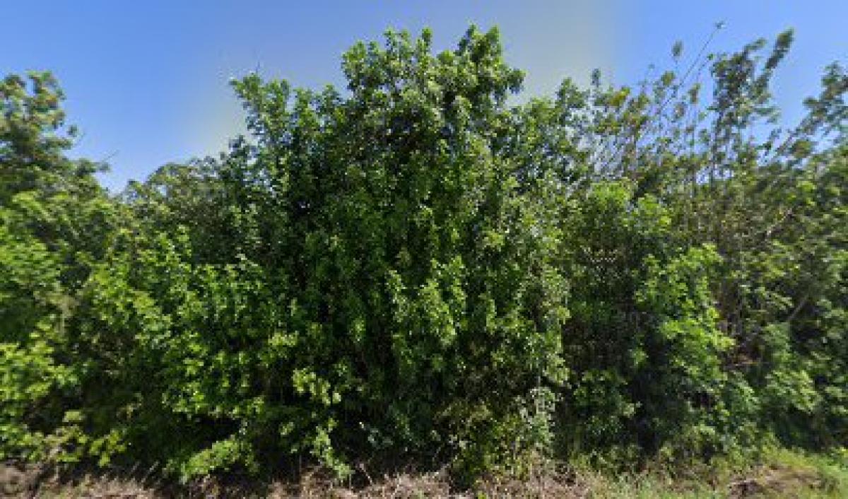 Bee Reproduction LLC