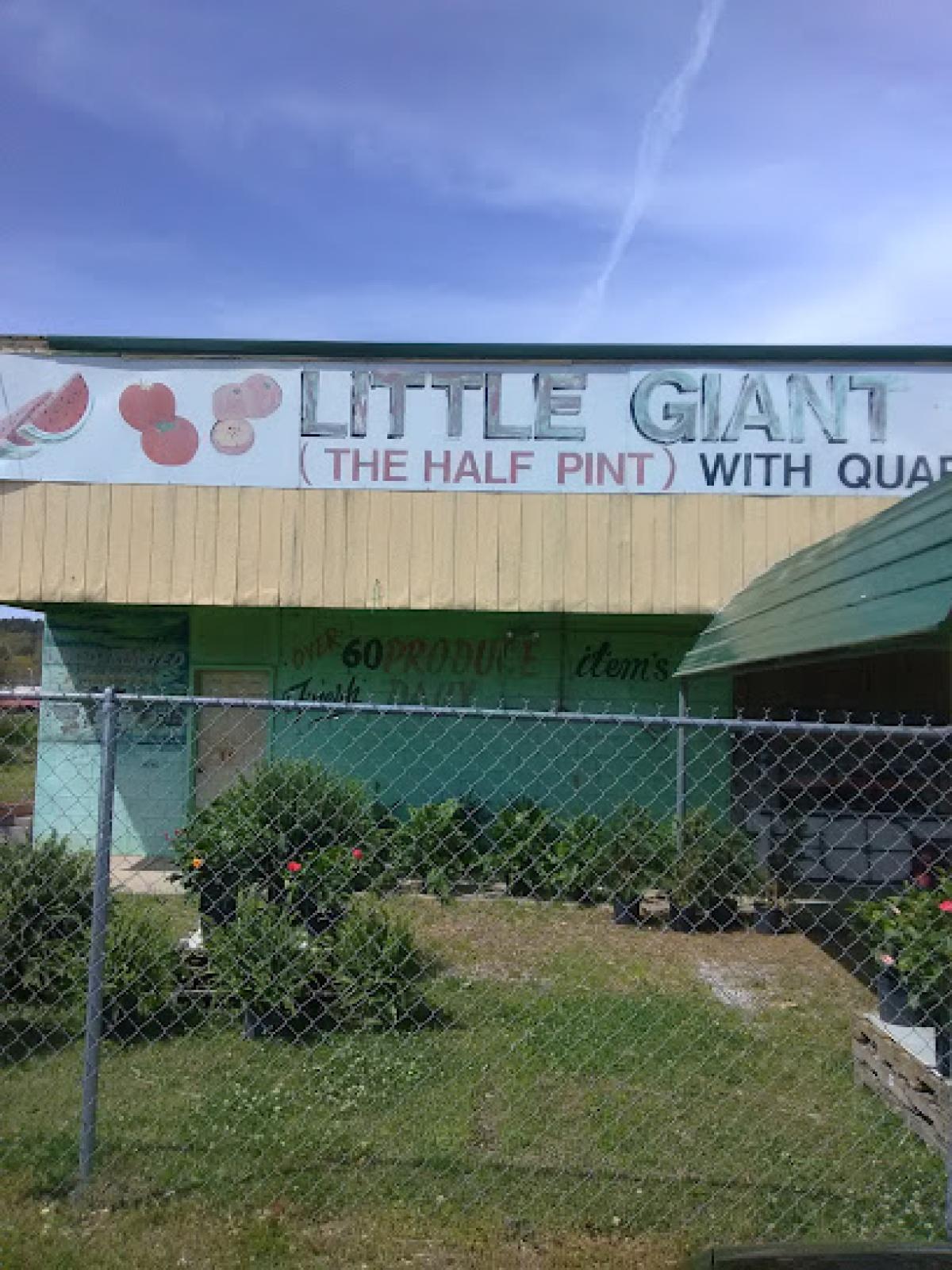 Little Giant Farm Market