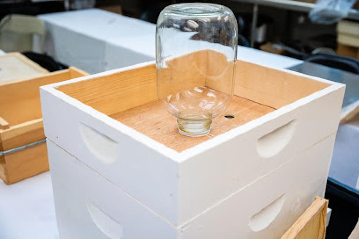 Lookout Mountain Honeybees