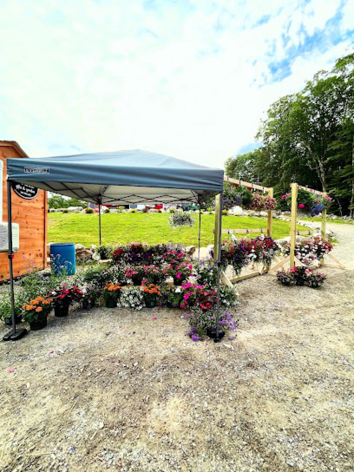 Katies Place Gifts & Goodies