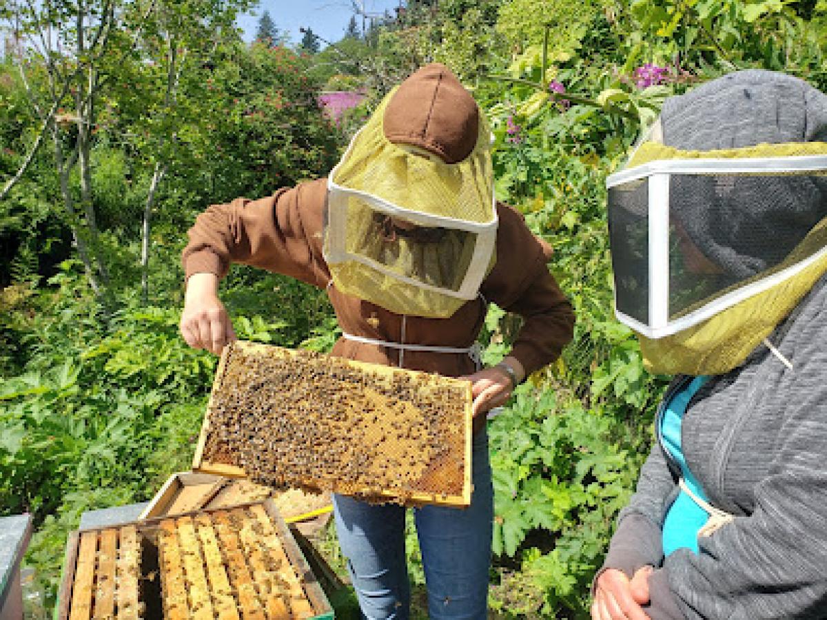 Stoked Beekeeping Co.