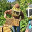 Stoked Beekeeping Co.