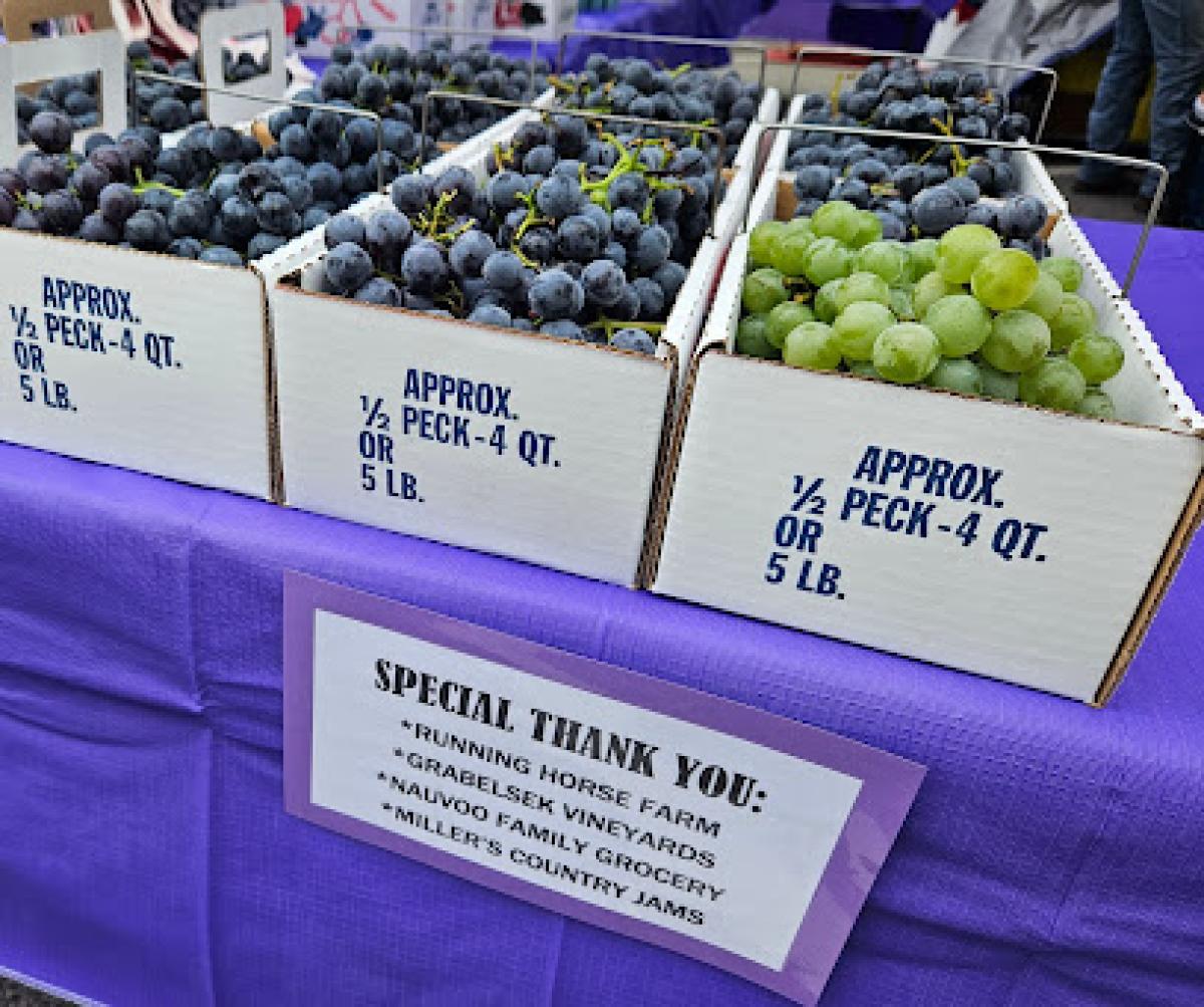 Millers Country Jams