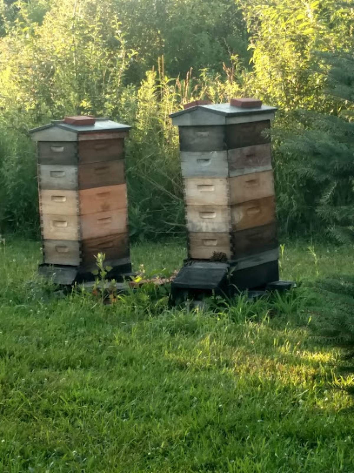 Twin Oaks Farmstead, LLC