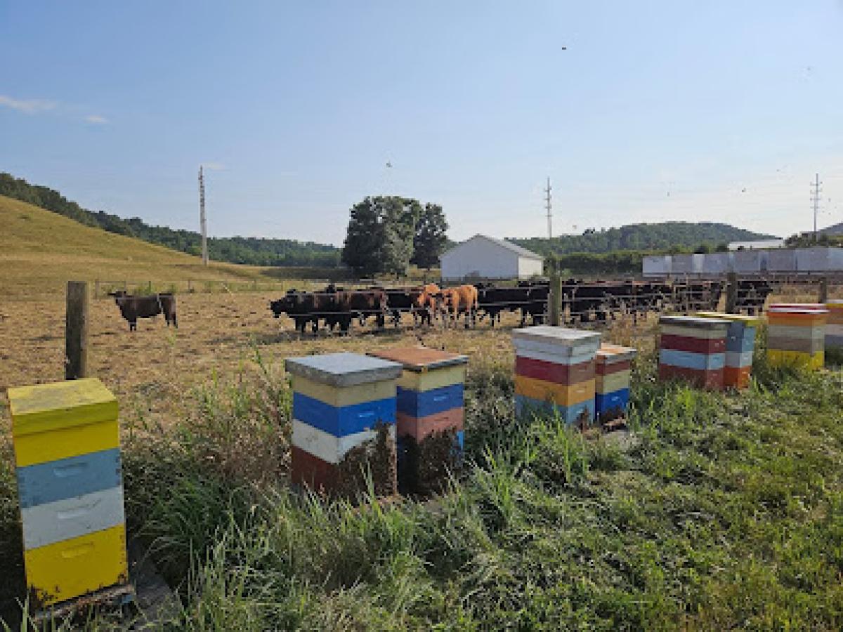 Ohio Honey Farms