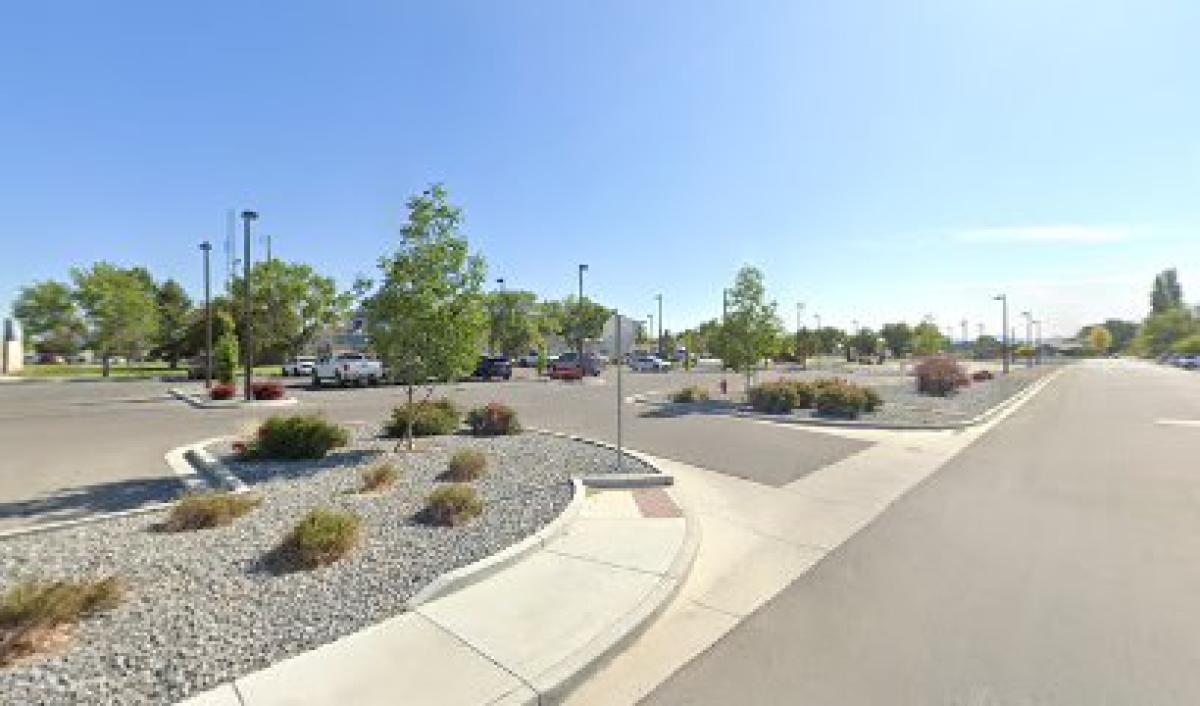 Hall's Honey - Yerington, Nevada