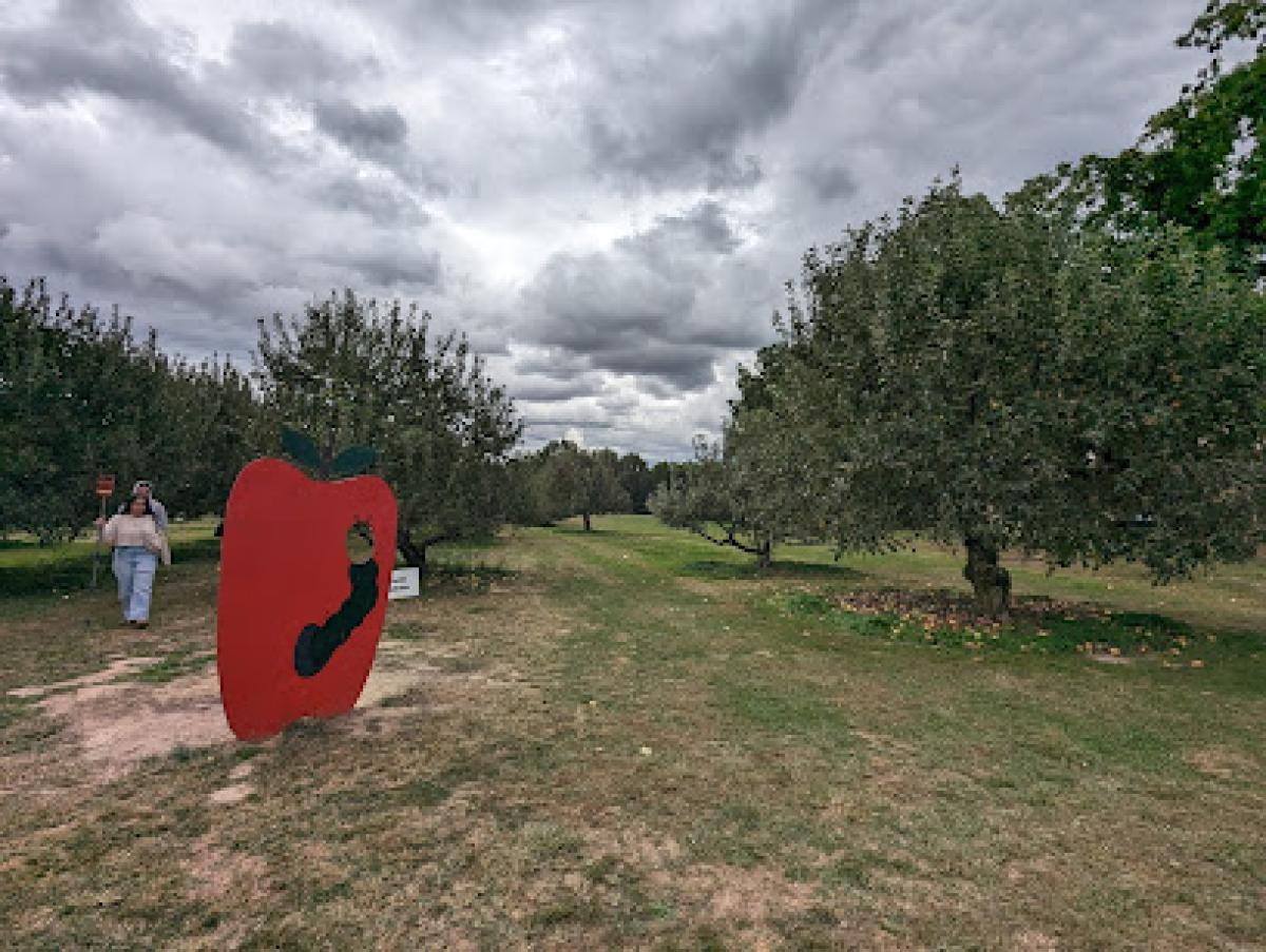 Pringles Orchard
