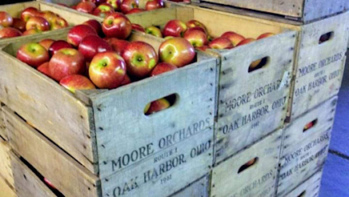Moore Orchard