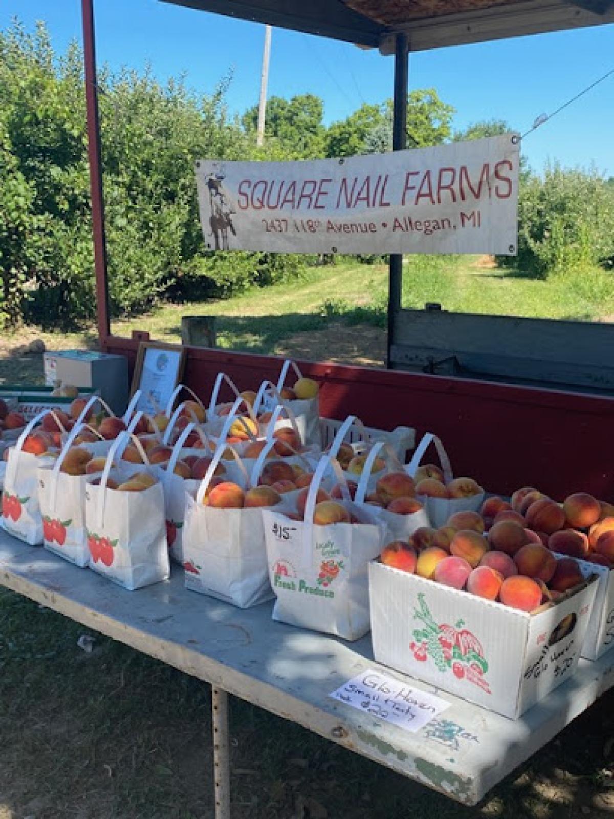 Square Nail Farm LLC