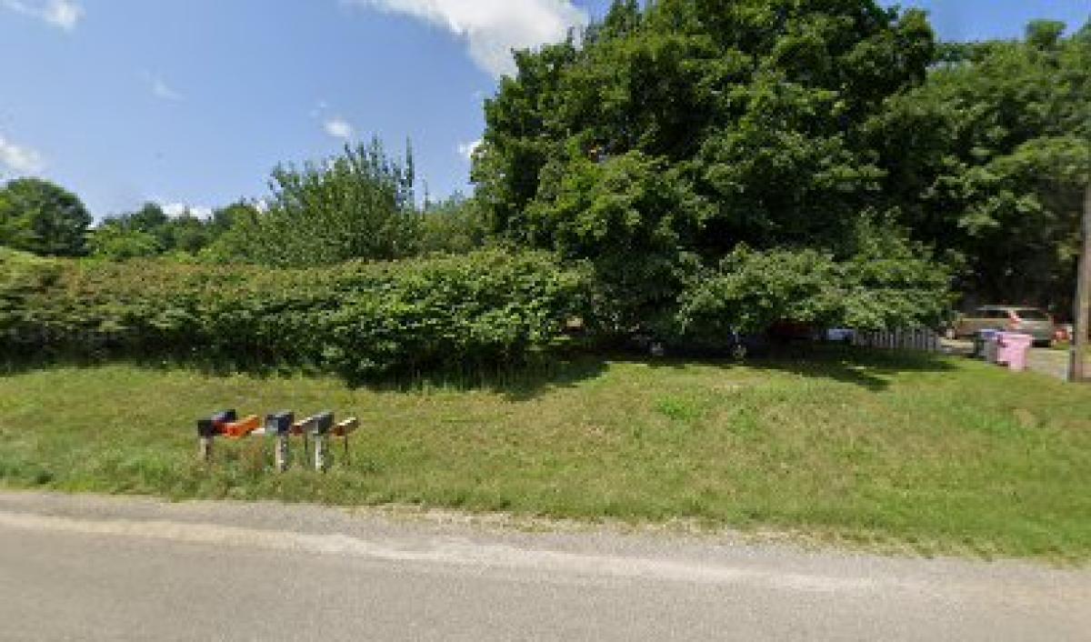 Bee Obsessed Buchanan