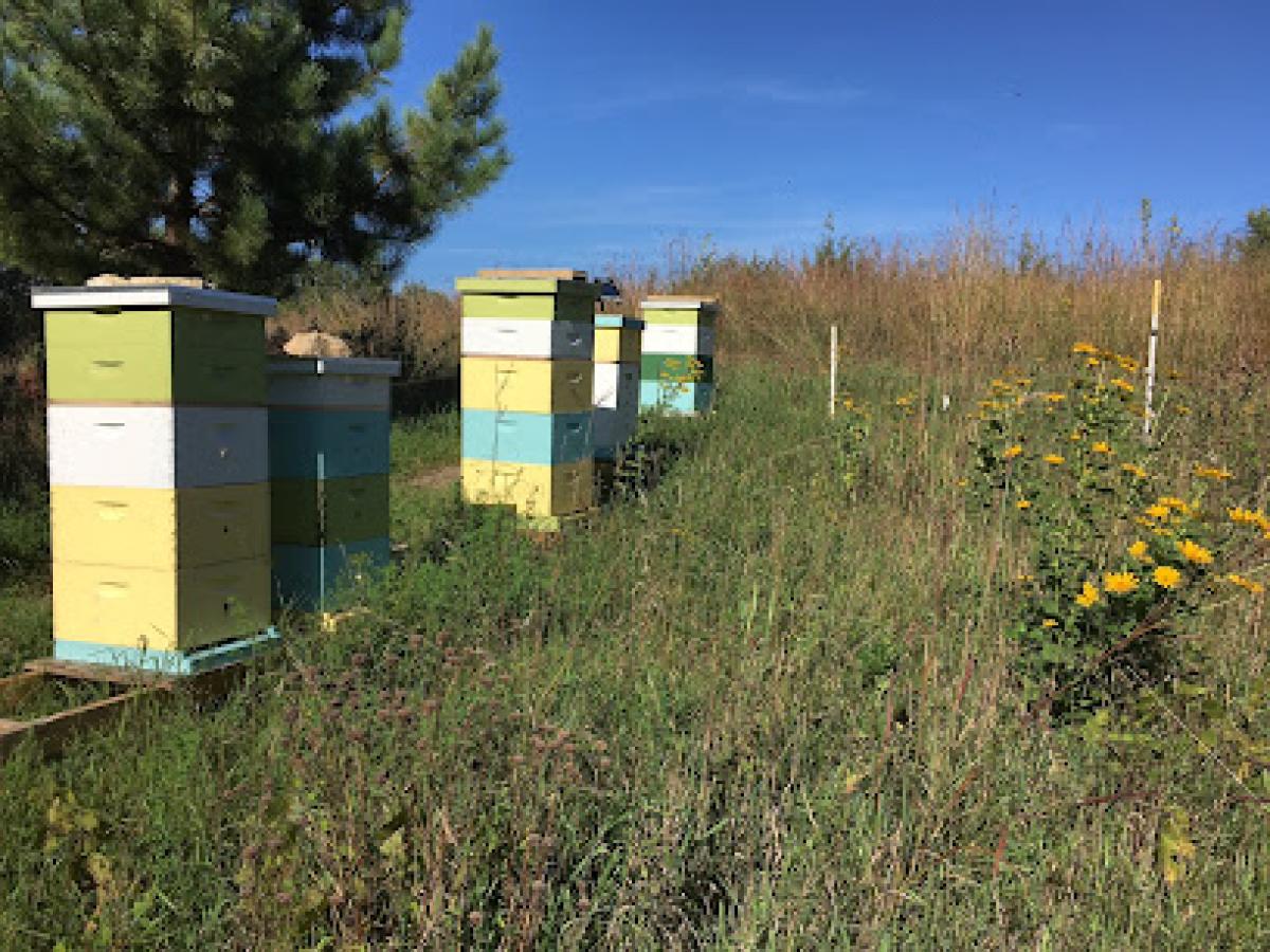 Trillium Hill Honey, LLC