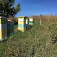 Trillium Hill Honey, LLC