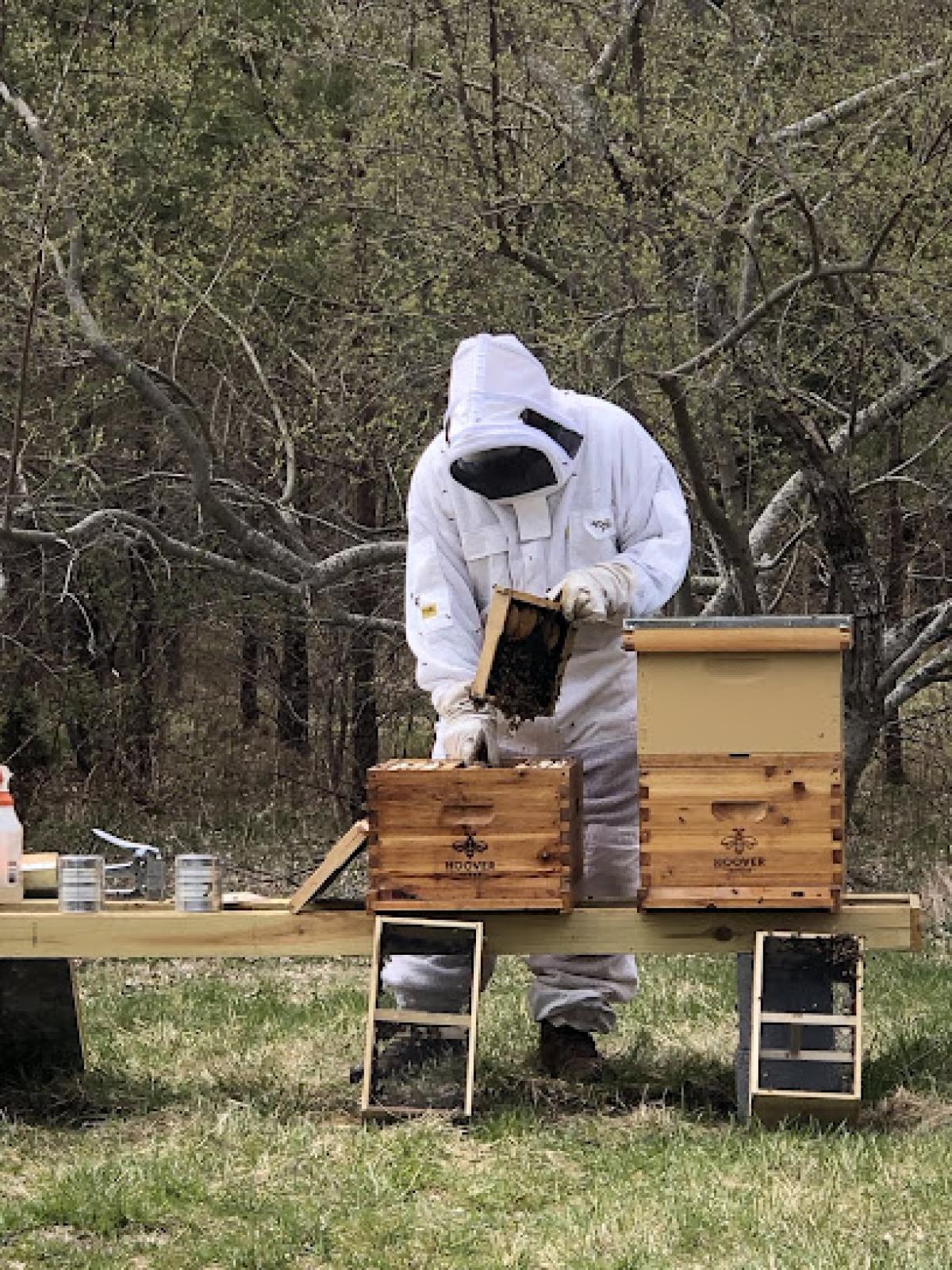 Long Island Beekeeping