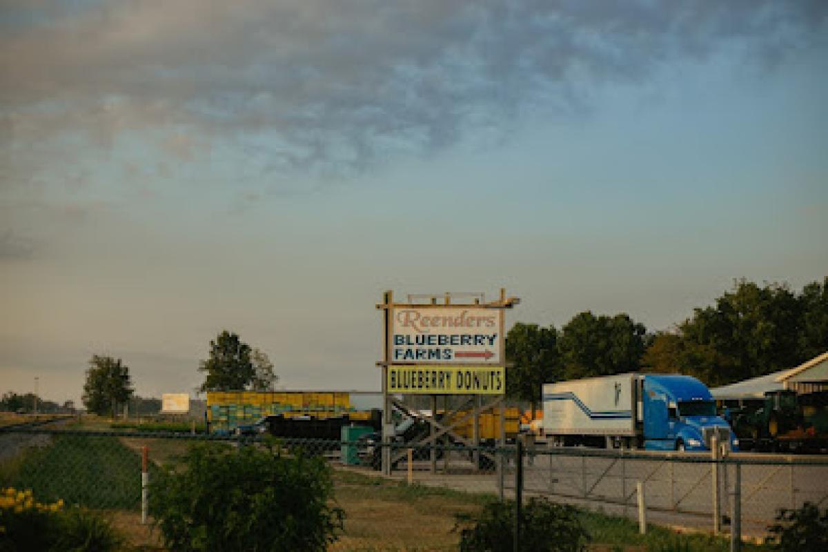 Reenders Blueberry Farms
