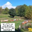 Clampitt Family Farms - Bee Happy Honey