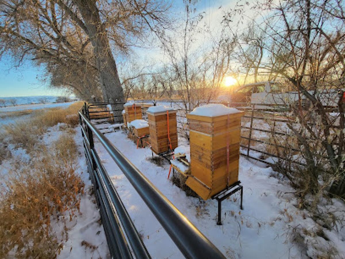 Wyoming Bee Company LLC