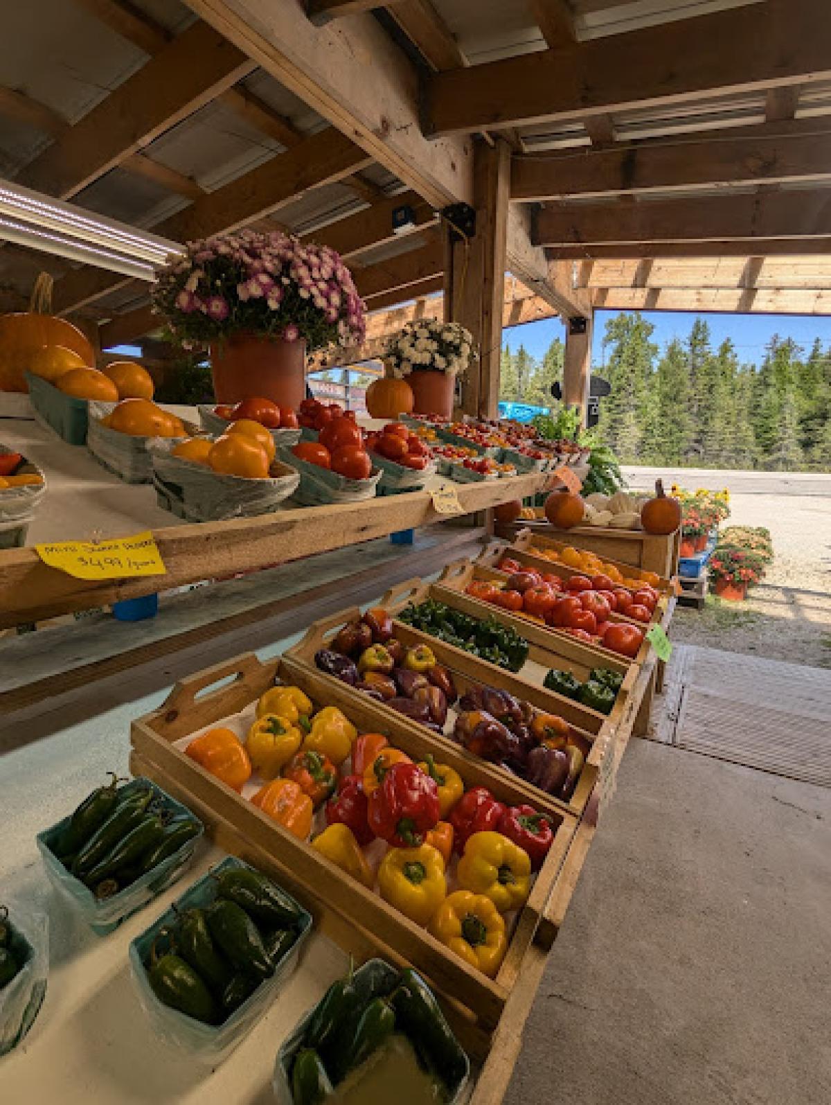 Backwoods Farm Market
