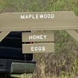 Maplewood Farm