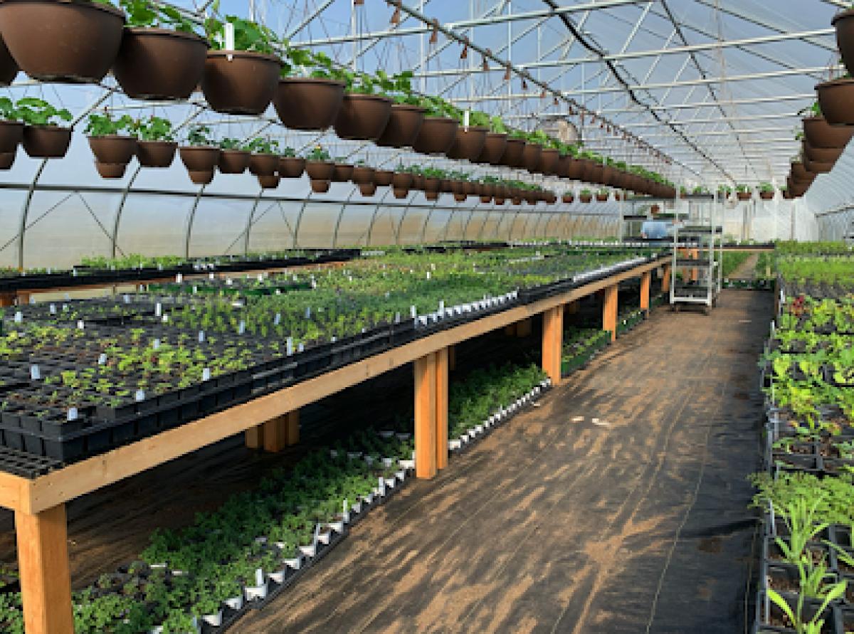 Bear Creek Organic Farm