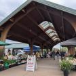 Eau Claire Downtown Farmers Market