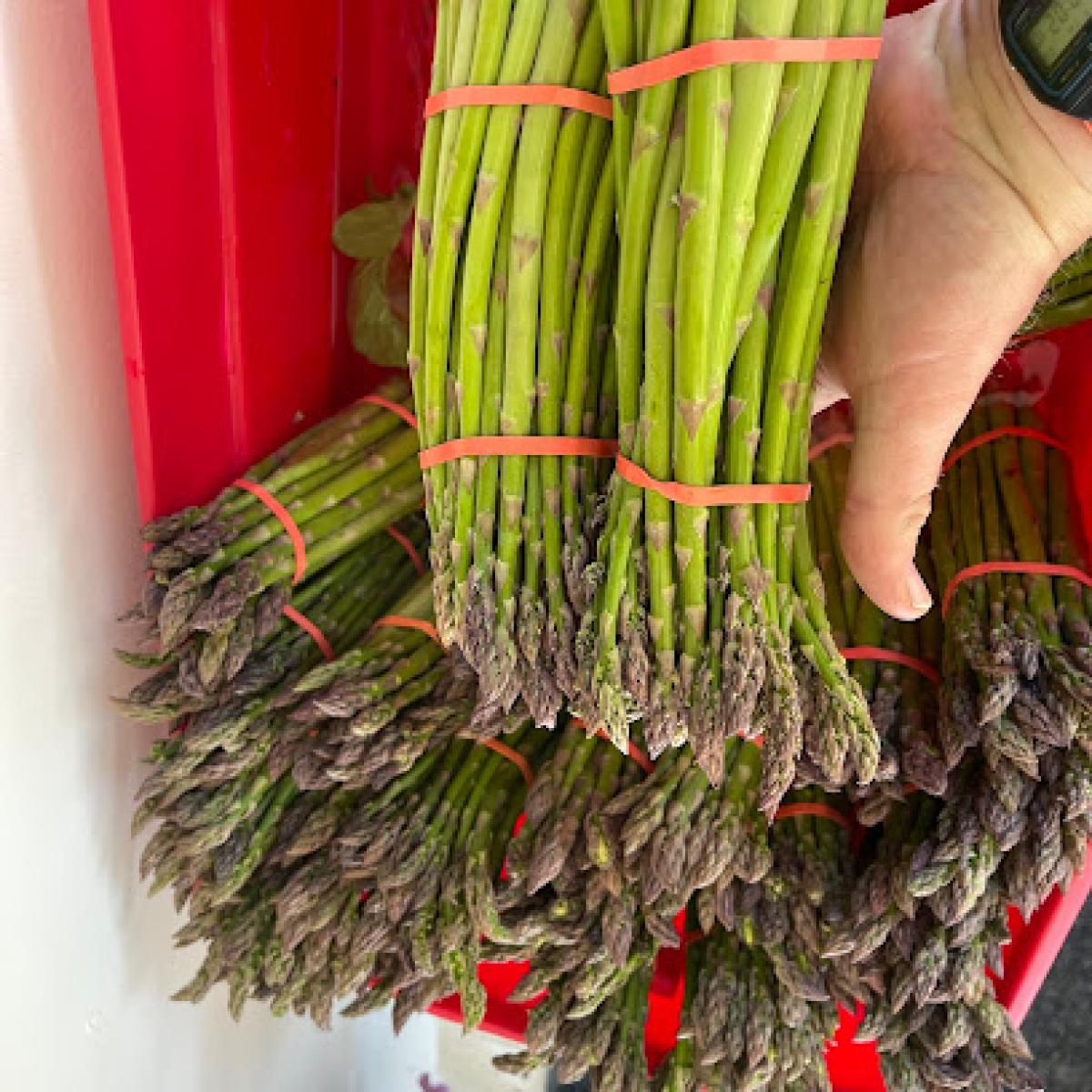 Ruth Ann’s Farm Market