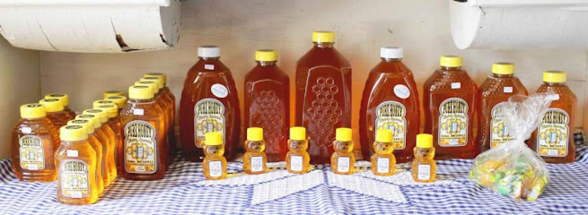 Slater’s Apiaries Inc.