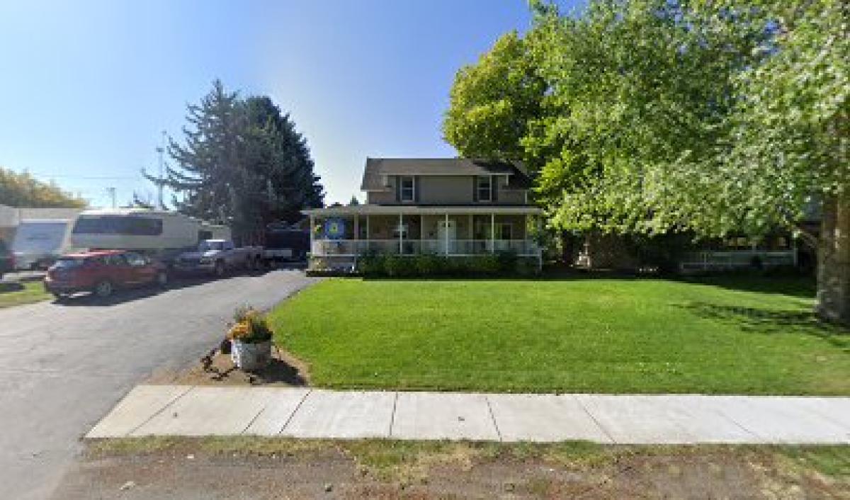 Little Stinger Honey