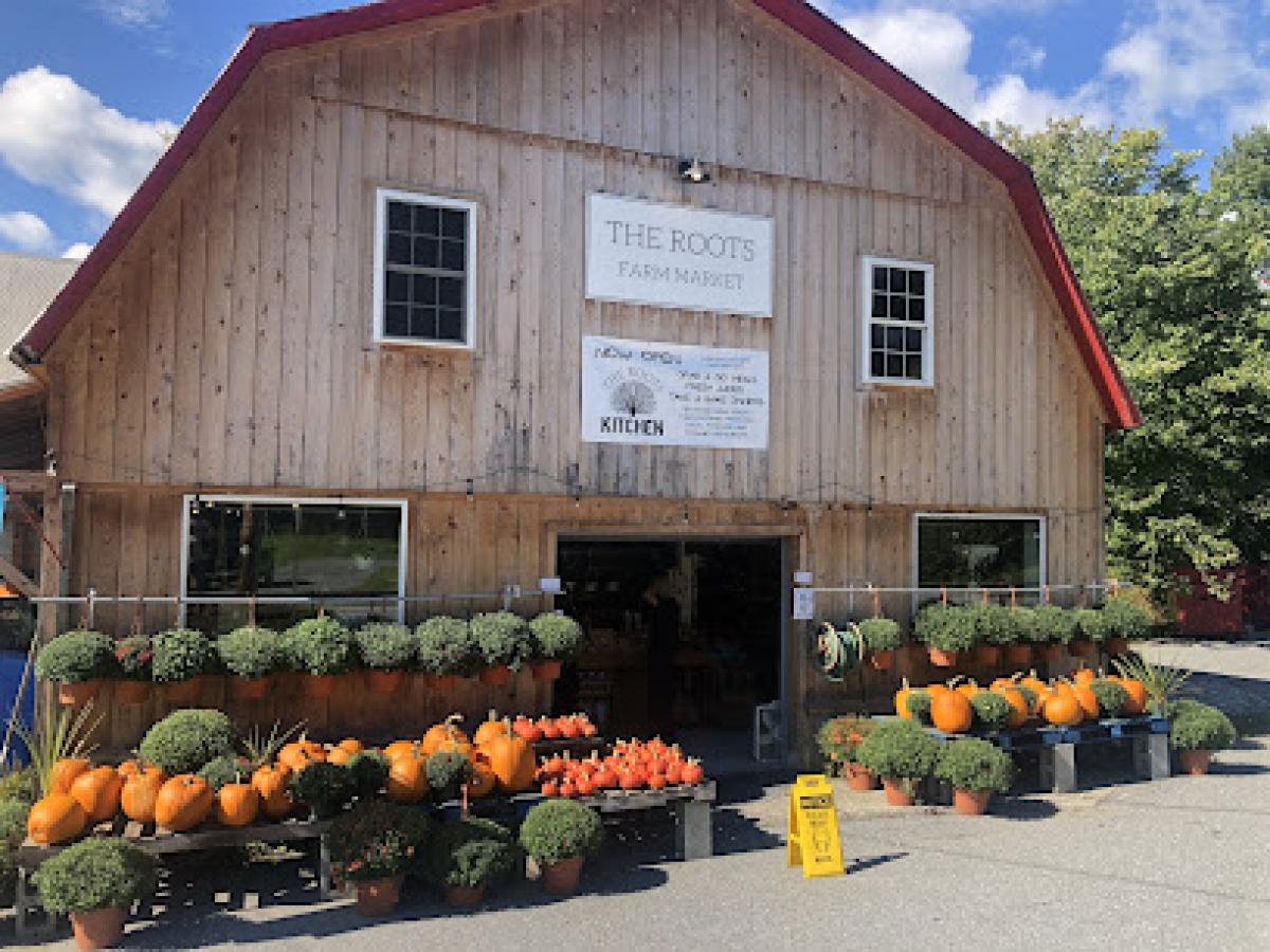 The Roots Farm Market
