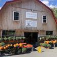The Roots Farm Market