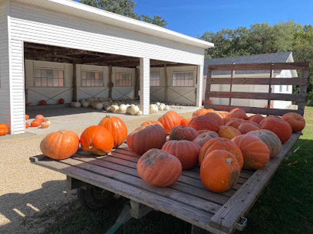 Thyme and Again Farm