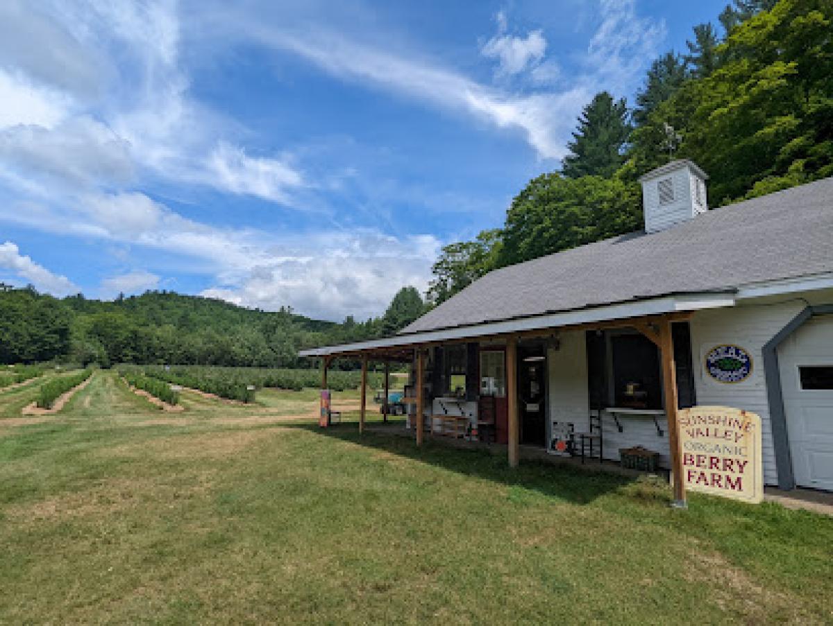 Sunshine Valley Berry Farm