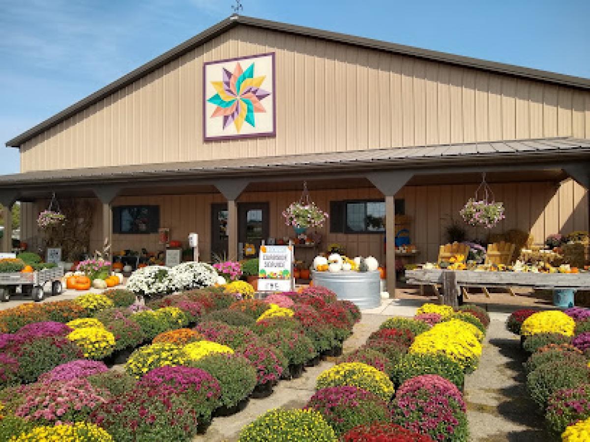 Country Kids Farm Market