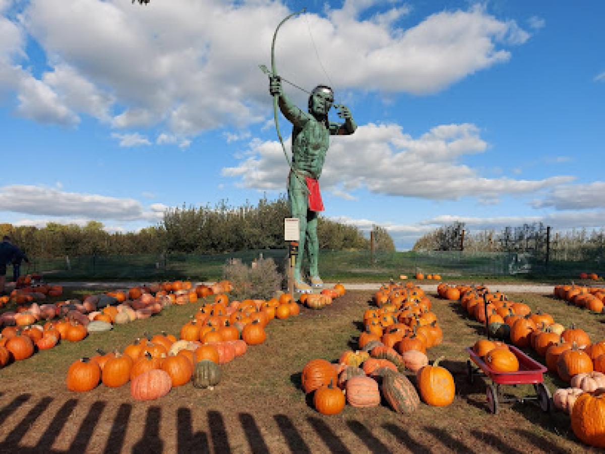 Curtis Orchard & Pumpkin Patch