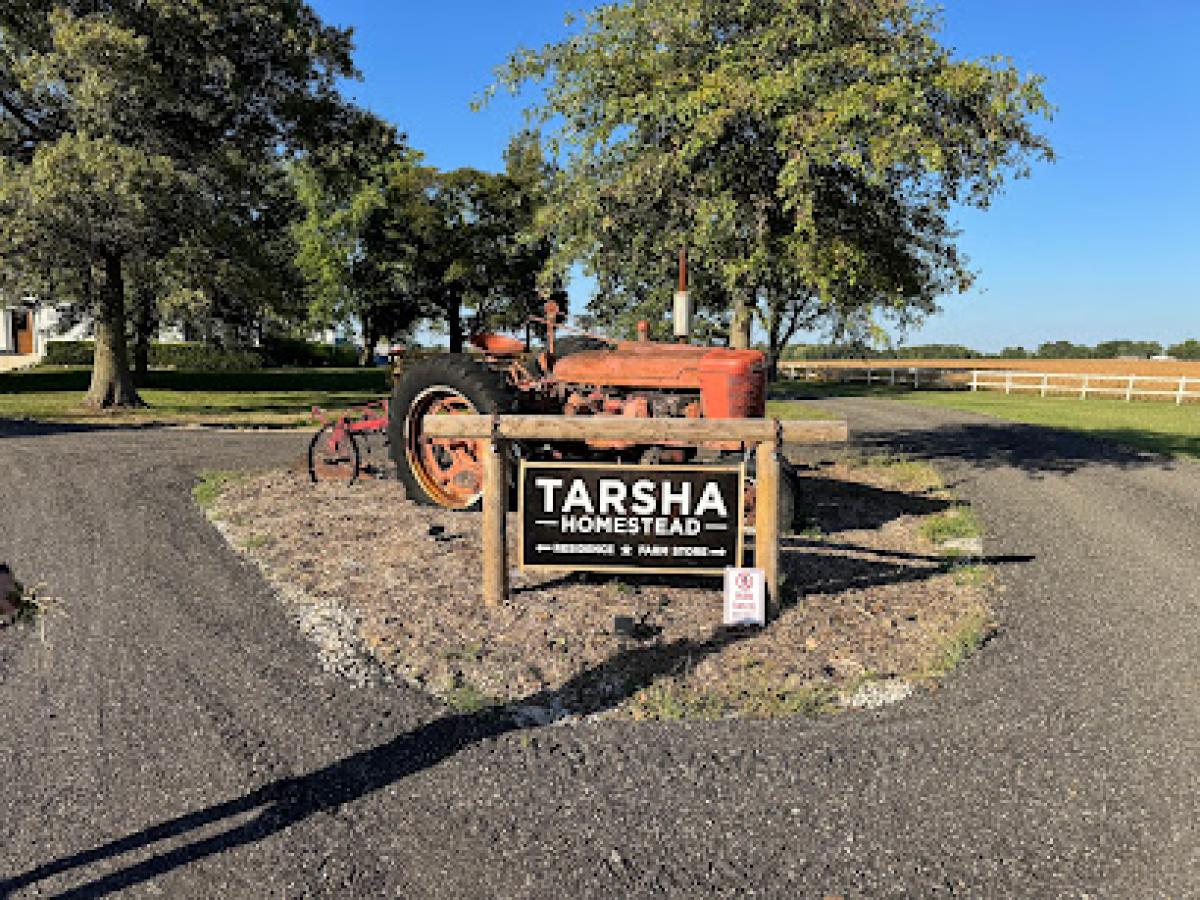 Tarsha Homestead