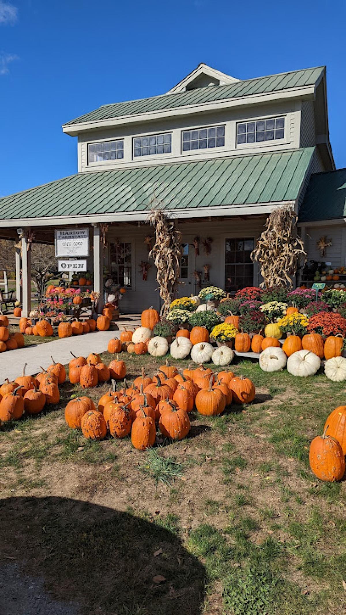 Harlow Farm Stand