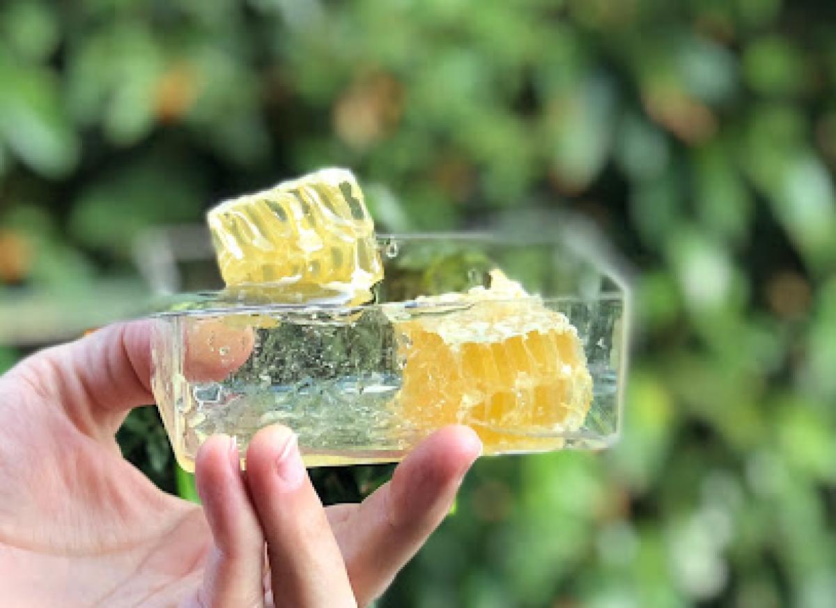 Twin Bee Apiaries Alameda