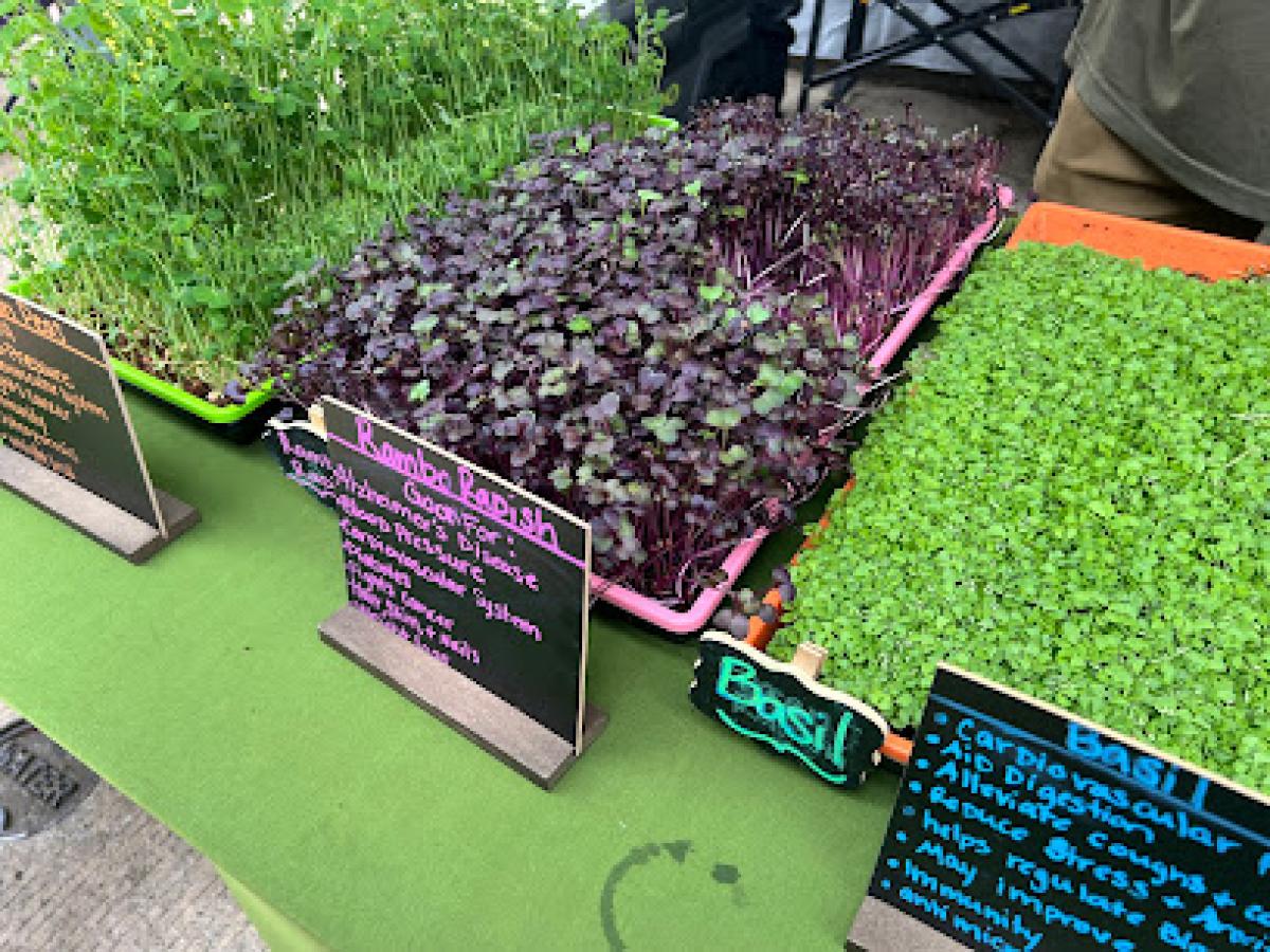 Charlestown Farmers' Market