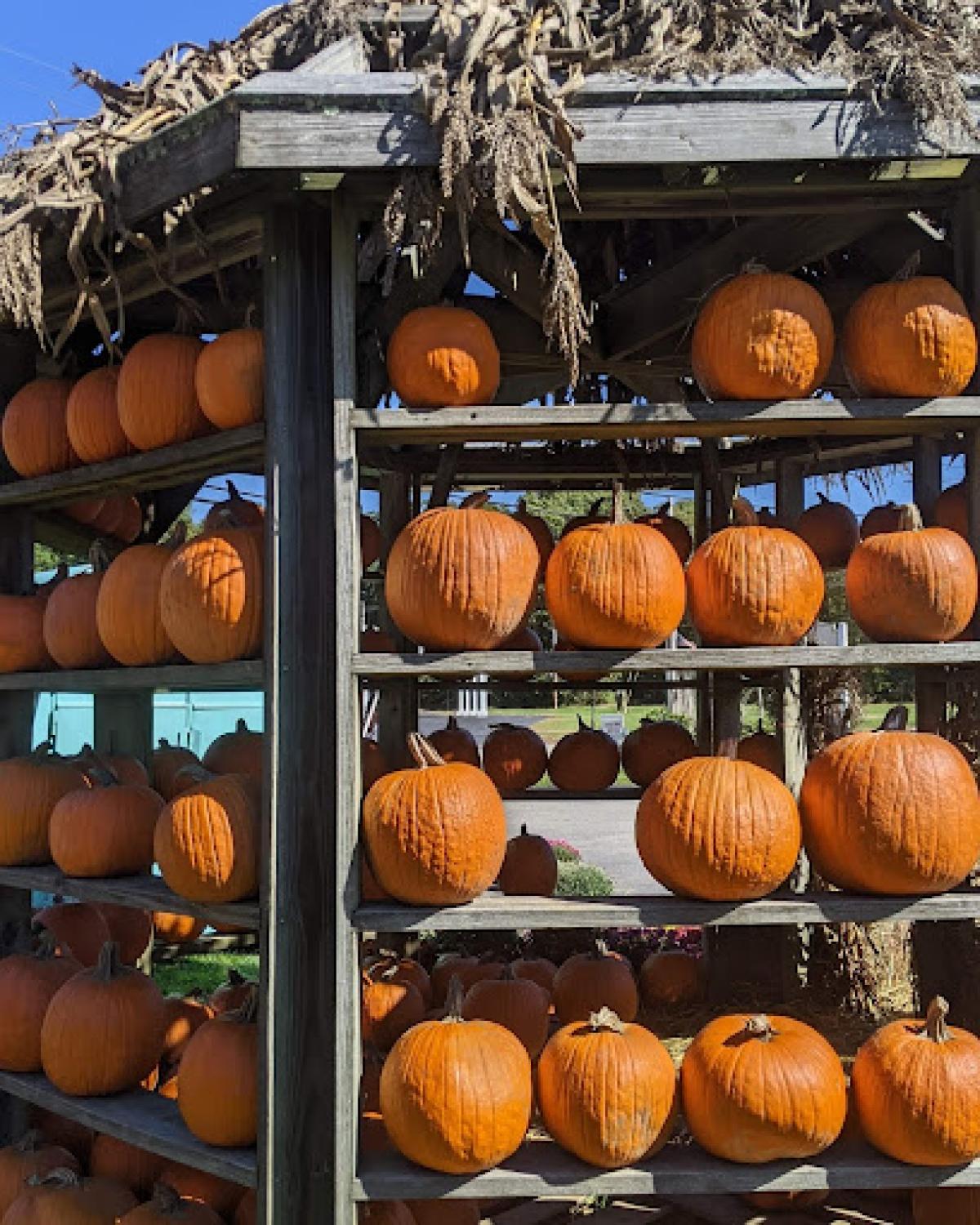 Goodwin Brothers Farm Stand