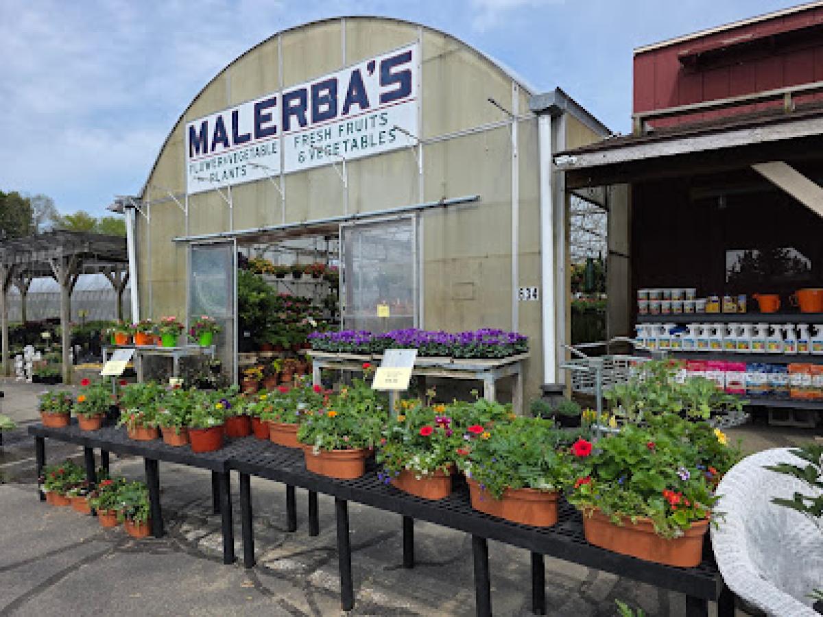 Malerba's Farm