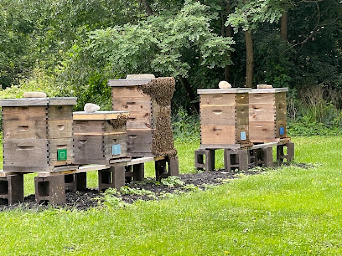 River's Edge Apiary