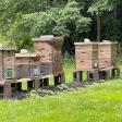 River's Edge Apiary