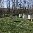 HarBee Beekeeping