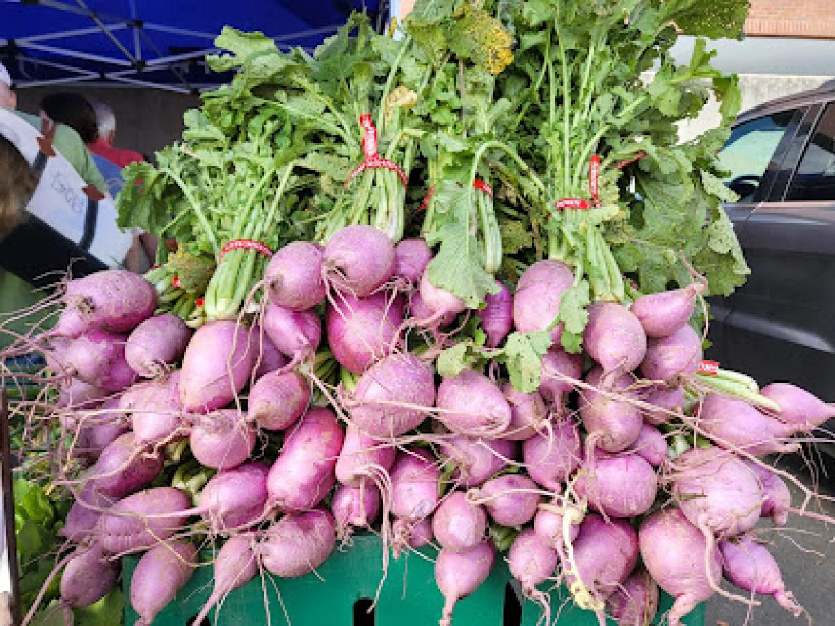 New Canaan Farmers Market