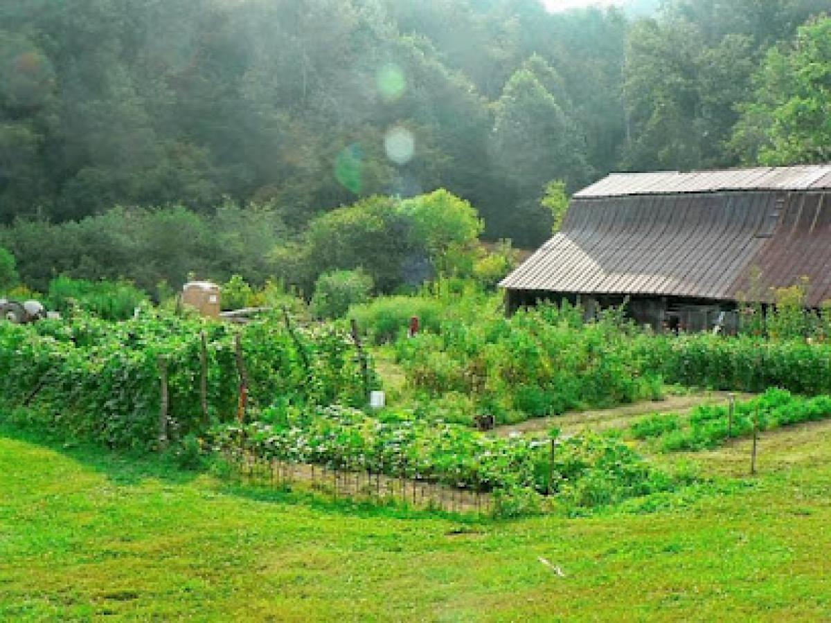 Faith Mountain Farm