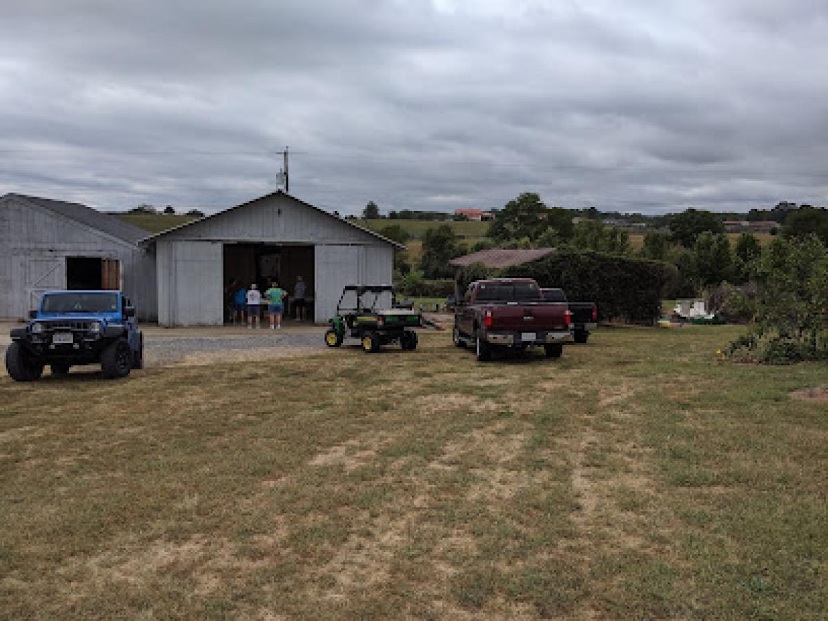 Virginia Gold Orchard