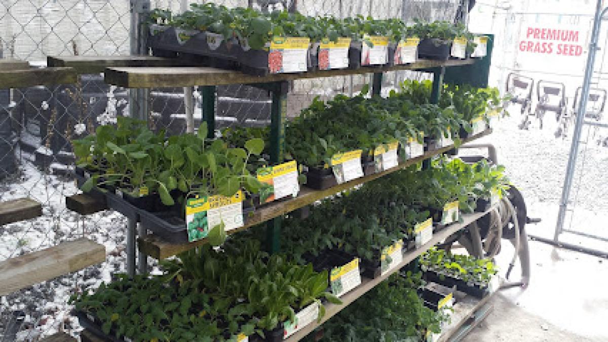 Bluefield Farm Bureau Store